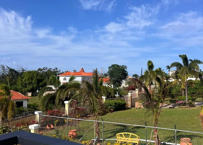 Spring * Montego Bay